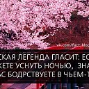 ���� ���������, �����������, 49 ��� - ��������� 23 ����� 2015 � ������ ������ ��������