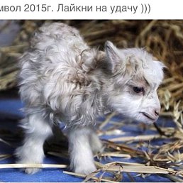 ���� ����������, ������, 58 ��� - ��������� 5 ������ 2015