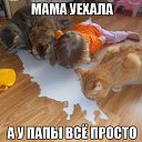 ���� �����, �����-���������, 50 ��� - ��������� 12 ����� 2015 � ������ ������ ��������