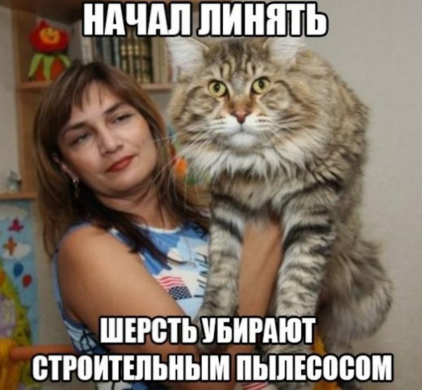 �� ����� ���������. - 5