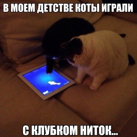       - 6  2015  16:02