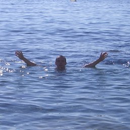 ������, ���������, 40 ���