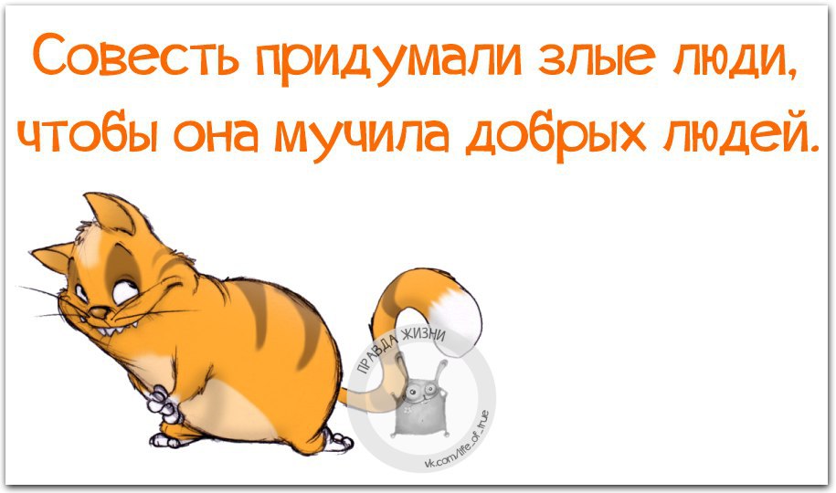   - 3  2015  13:44