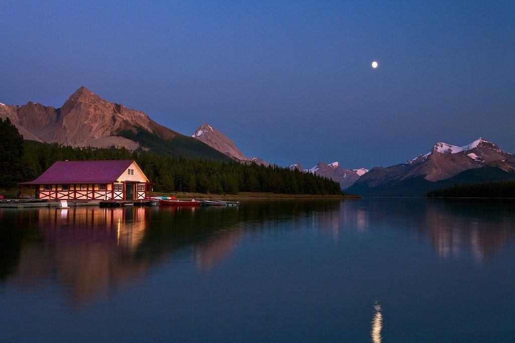     .   (Kevin McNeal),  . ... - 4