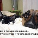  Irishka))),  -  26  2015    