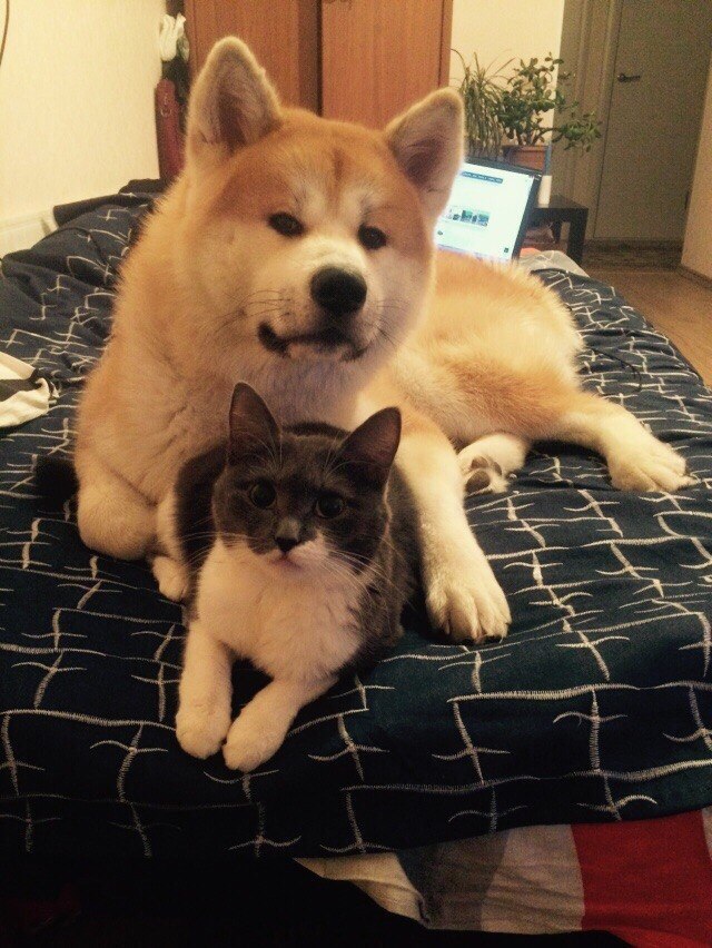 :3