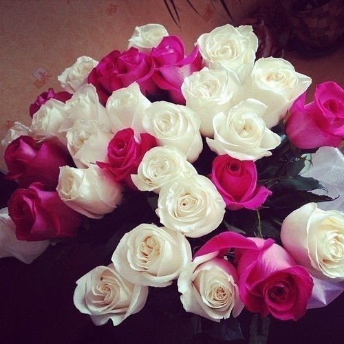 ������� | ���� 2016 | ������ | �������� | ������ - 4 ������ 2015 � 22:35 - 3