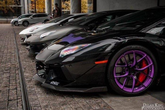 Lamborghini Aventadors - 5