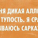  Klempner Deutscher,  -  27  2015    