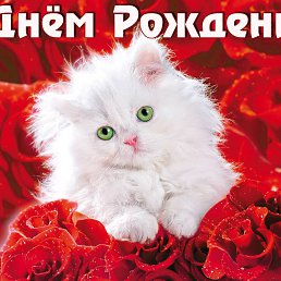 Alex, �����������, 70 ���