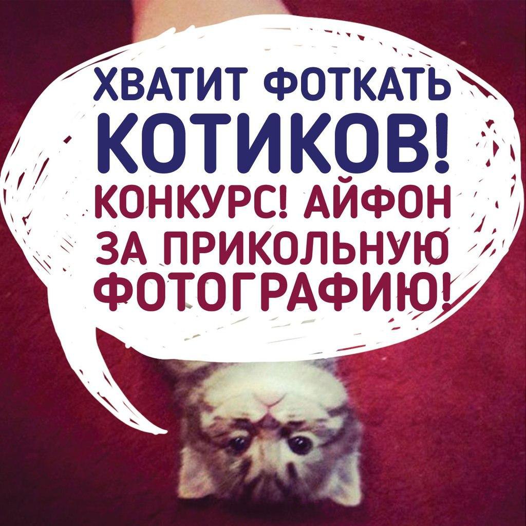    ?   https://fotostrana.ru/away?to=/sl/yzW3   iPhone 6 (-,  ...