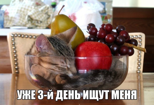  -  - 21  2015  09:21