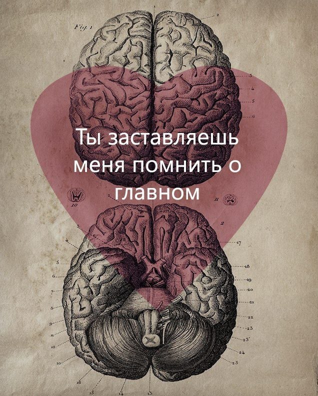  - 25  2015  20:48