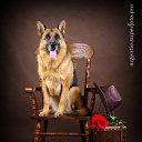  
 10.04.2014     - 2014