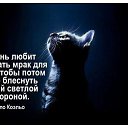  , , 59  -  2  2015    ,  ??        !)