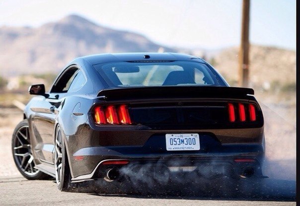 2015 Ford Mustang RTR Spec2.  : 327\   : 3.7  ... - 3