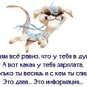 ���� �����, ���������, 30 ��� - ��������� 9 ������ 2015 � ������ ������ ��������