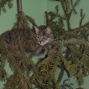 ���� ������, ������ - ��������� 15 ������ 2015 � ������ ���� ����������