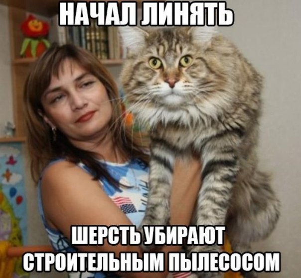   . - 5