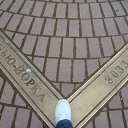 �� NY - 8033 �� ������� ���� ������ ��� ����