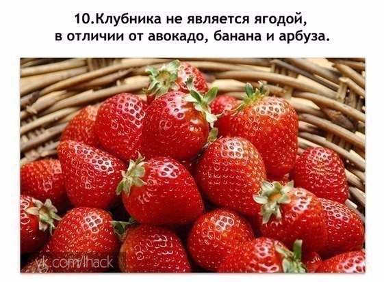 10 ������, ������� ������ ��� ����, �� �������� �������: - 10