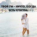  Evgenija, , 44  -  23  2015    