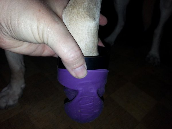    ,          .   ... - 4