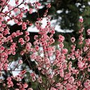  , , 60  -  13  2015      05.04.15.