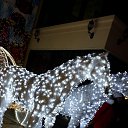 ���� �������, �������� - ��������� 30 ������� 2014 � ������ ������ ��� 2015�