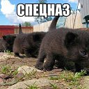 ���� ����, ��������, 52 ���� - ��������� 9 ����� 2015 � ������ ���������