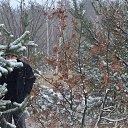 ���� �, �������� - ��������� 28 ������� 2014 � ������ ���� ����������