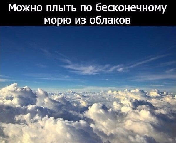        : - 8