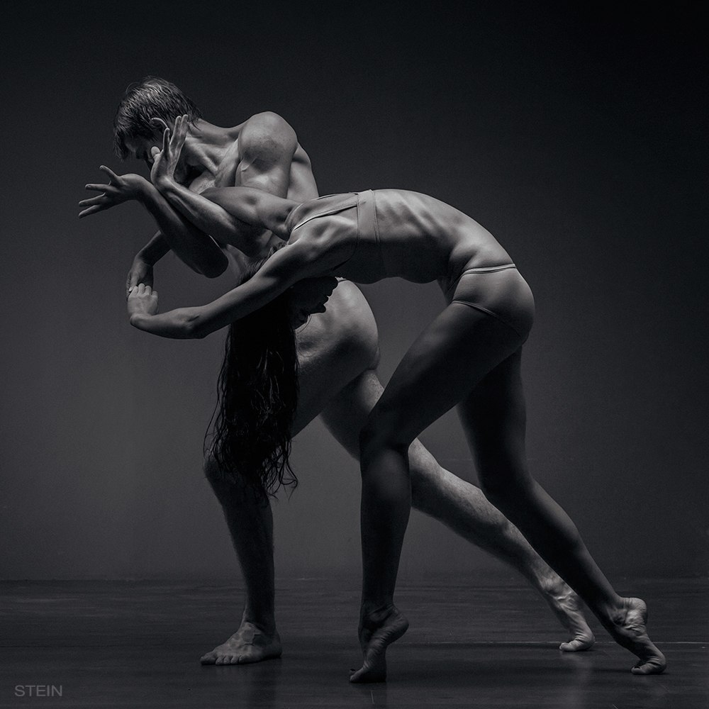  - Vadim Stein