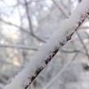 ���� Valka, ������, 63 ���� - ��������� 30 ������ 2015 � ������ ���� ����������