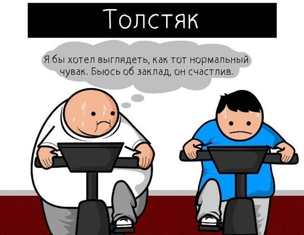 SportFeed - 29  2015  09:29