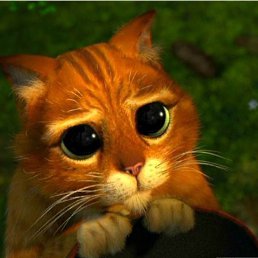 Timon, ������, 54 ����