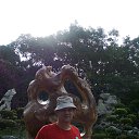 ���� �����, �����������, 62 ���� - ��������� 28 ������� 2015 � ������ ���� ����������