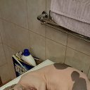 ���� �������, ������, 65 ��� - ��������� 22 ������ 2015 � ������ ������ ��������