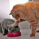 ���� �������, ������������, 50 ��� - ��������� 5 ������� 2015 � ������ ������ ��������