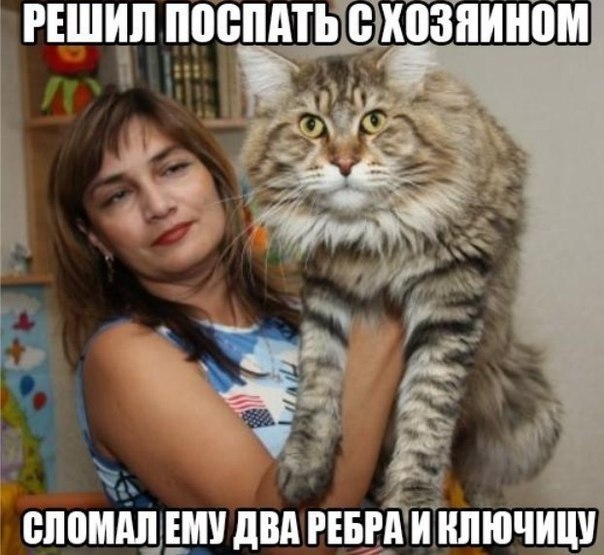   . - 2