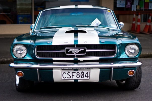 Shelby and Ford Mustang - 8