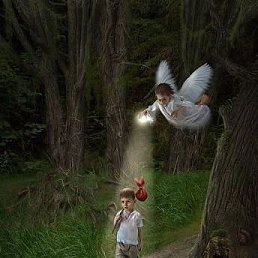 ����, ���������, 48 ���