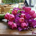 ���� ��������, �����-��������� - ��������� 8 ����� 2015 � ������ �������� ��������