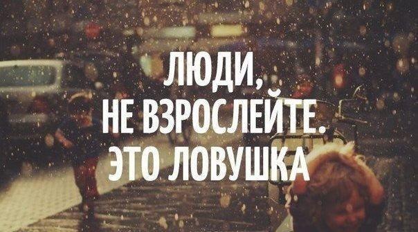   - 3  2015  11:39