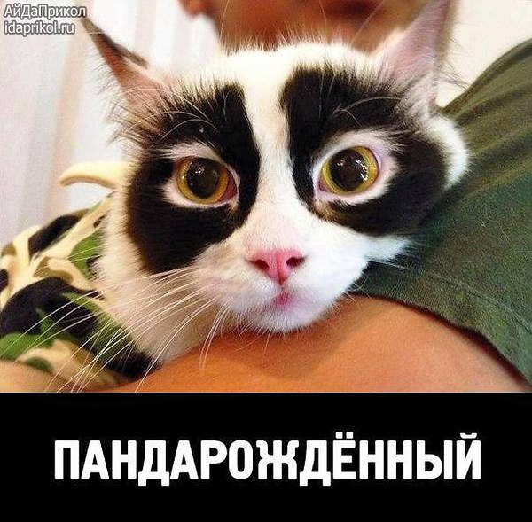 ���� - 3 ������ 2015 � 16:21