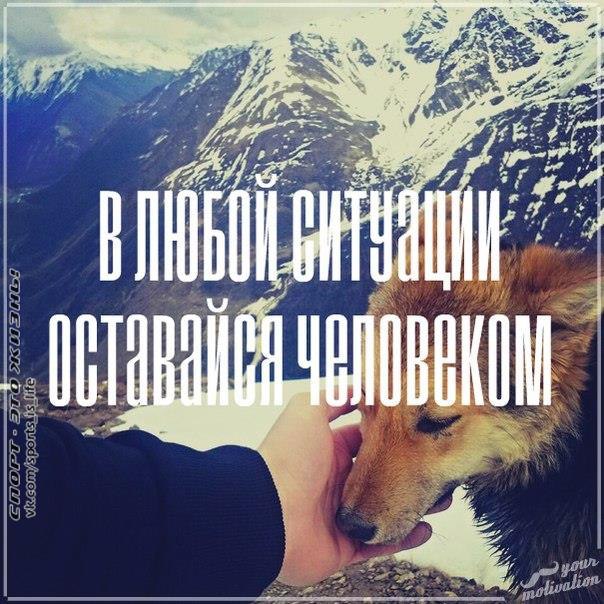  -   - 19  2015  11:09