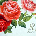 ���� �������, ��������, 66 ��� - ��������� 8 ����� 2015 � ������ ������ ��������