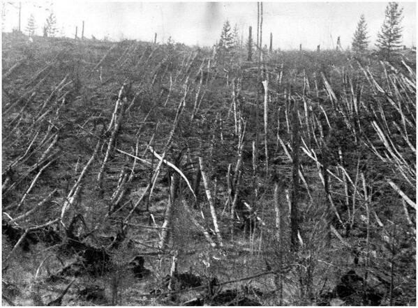    , 1908 .