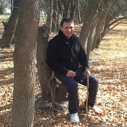 ���� �����, ���������, 68 ��� - ��������� 20 ������� 2015