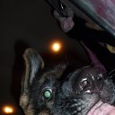 ���� Alexandr, �����-���������, 45 ��� - ��������� 11 ������� 2015 � ������ �����